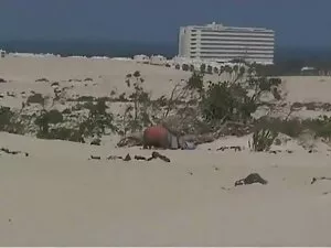 Junge latina schluck ...