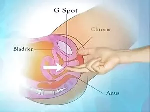 Super Busty sexfilme ...