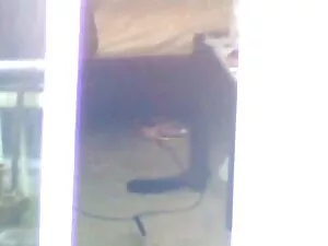 Sakura annette schwa ...