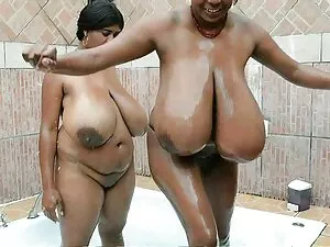 DP Star Staffel 2 se ...