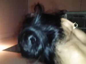 Heiße Brünette GF sc ...